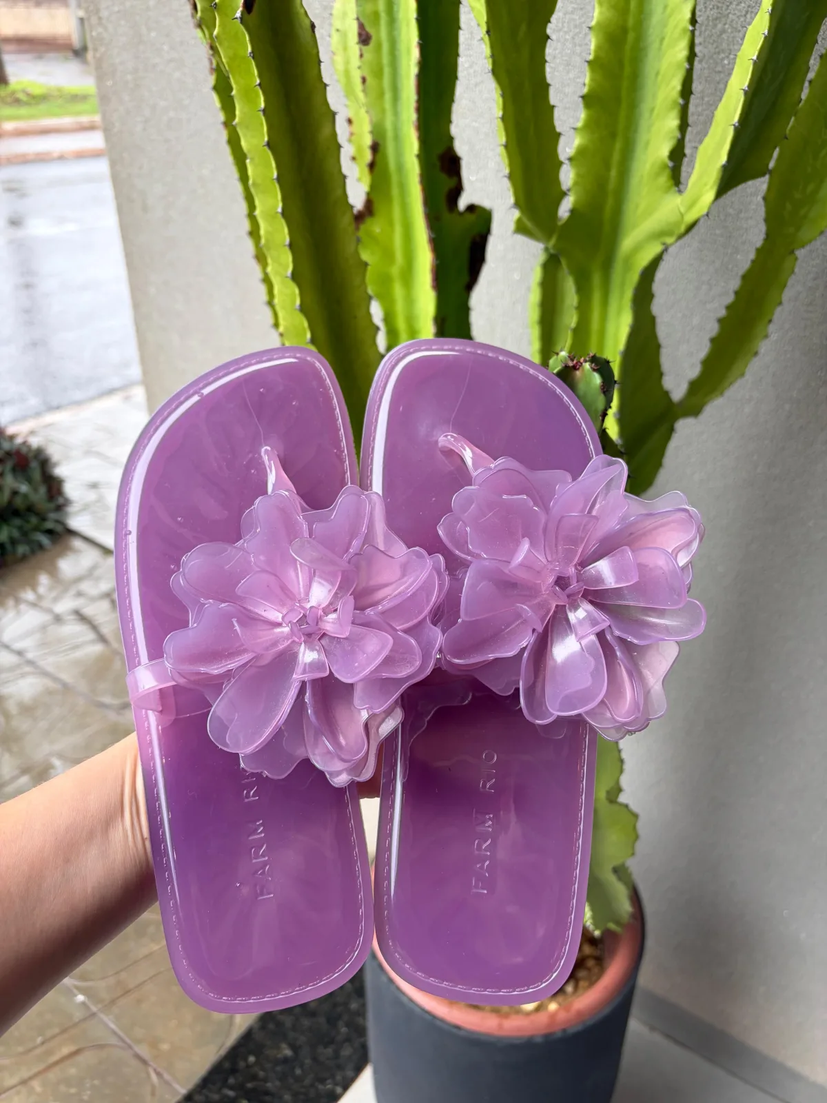 Chinelo Flor Farm